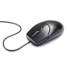 Computer Mouse